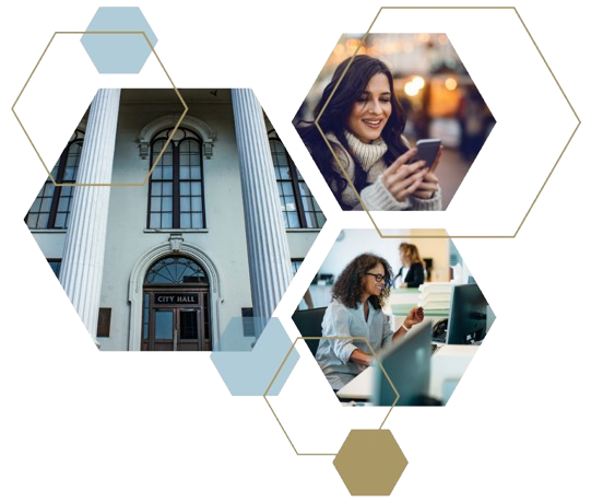 Government Solutions Services